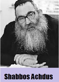 Shabbos Achdus: In Loving Memory of Rabbi Y.D. Groner