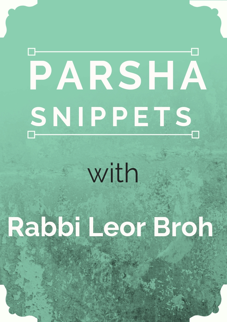 Shabbos in the 3 weeks - a sweetener in the bitter period 